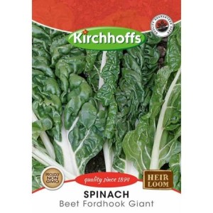 Kirchhoffs Spinach Beet Fordhook Giant Seeds